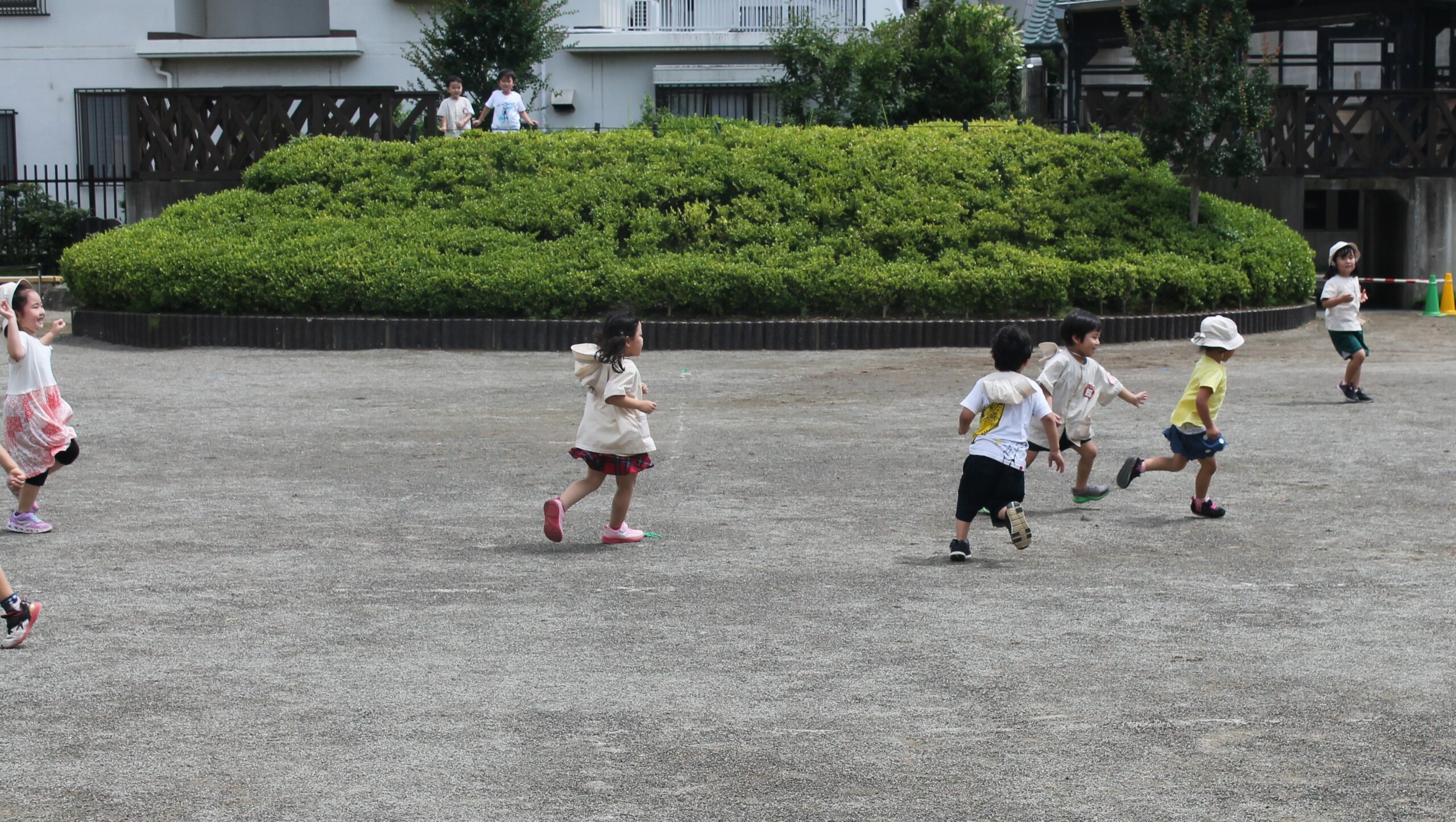 保護中: 川口しらぎく幼稚園の６月の様子