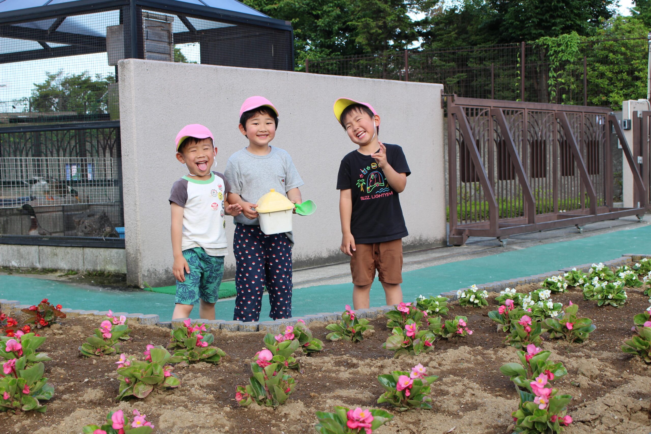 保護中: 戸塚しらぎく保育園の６月の様子