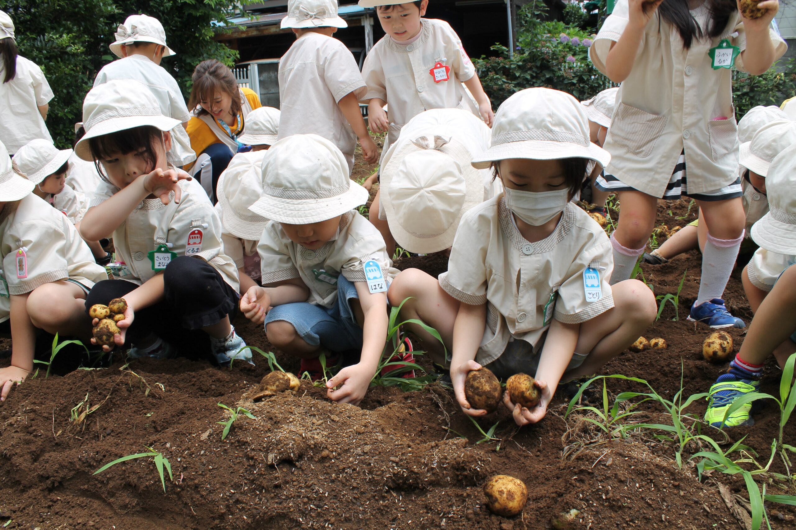 保護中: 川口しらぎく幼稚園の７月の様子