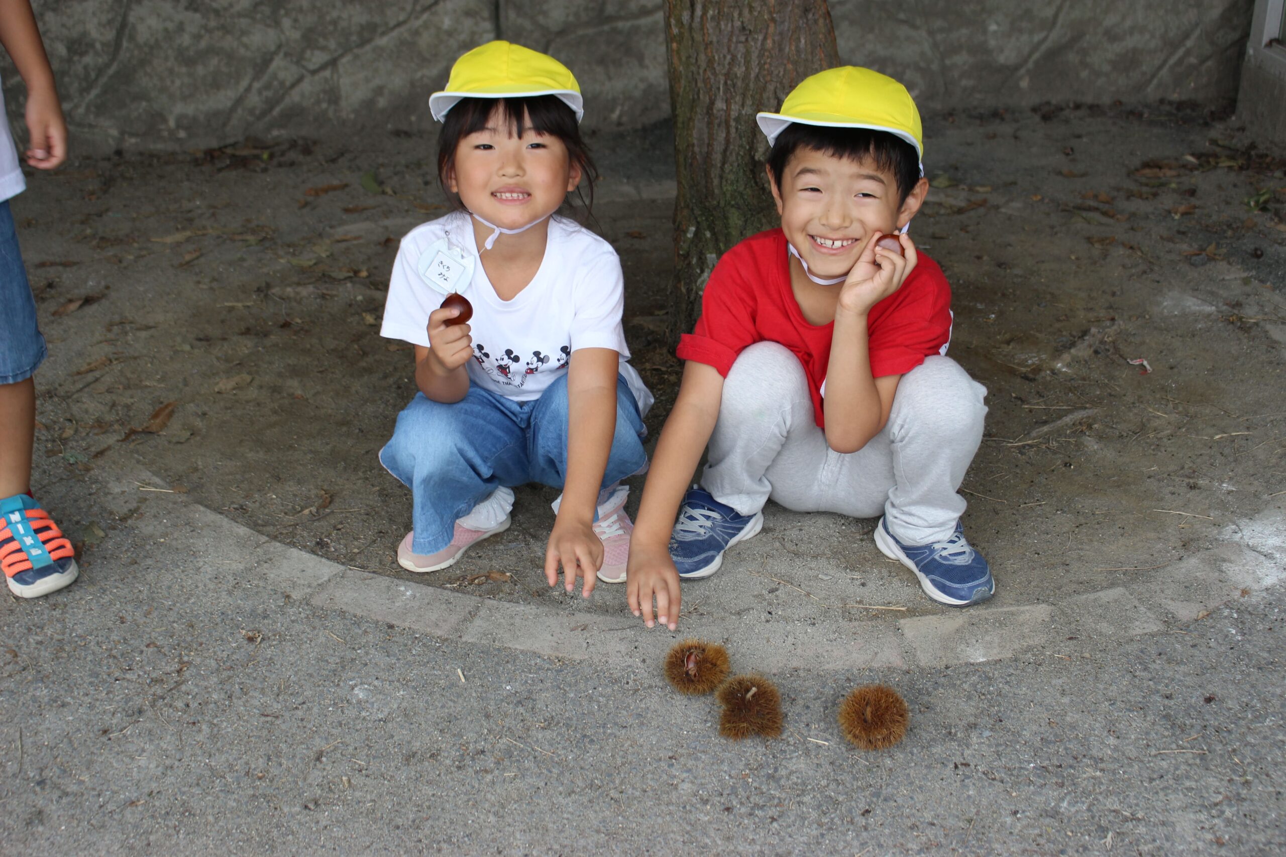 保護中: 戸塚しらぎく保育園の１０月の様子