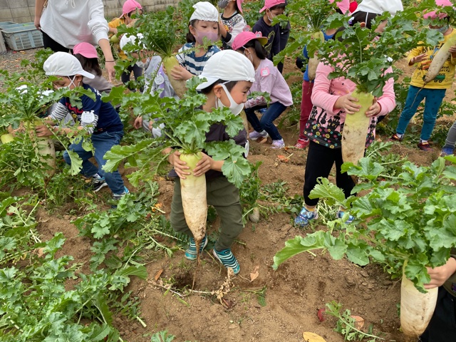 保護中: 並木東保育園11月の様子