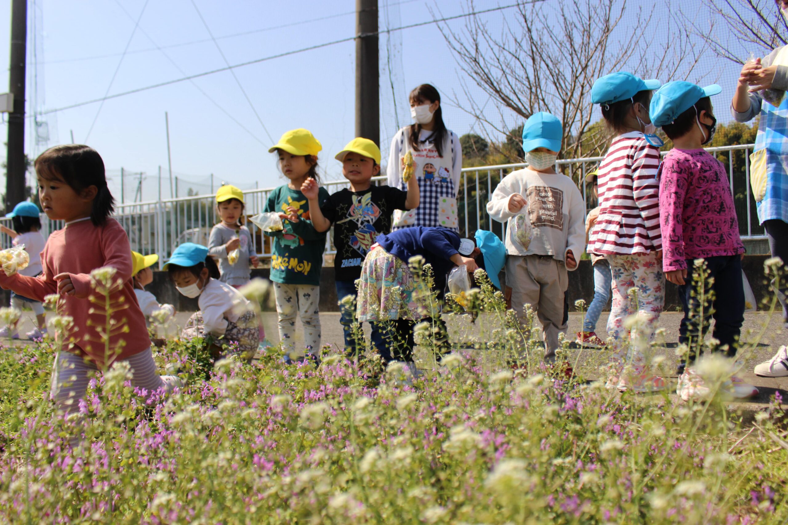 保護中: 戸塚しらぎく保育園の３月の様子