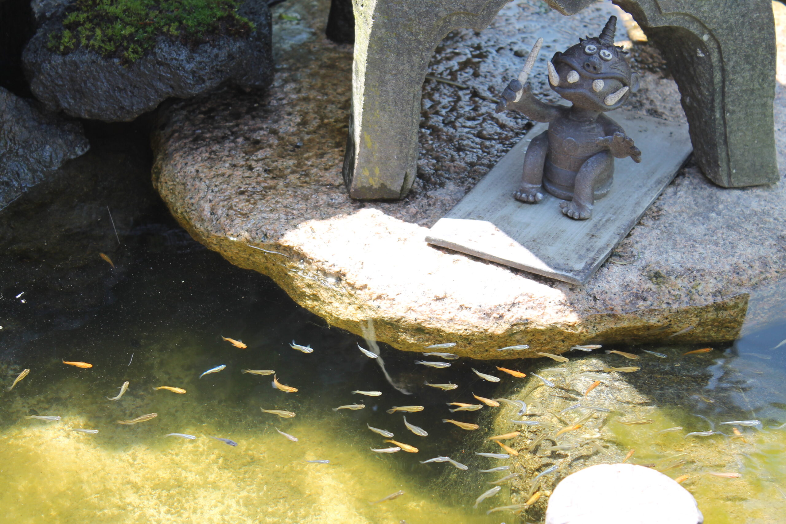 保護中: 川口しらぎく幼稚園の４月の様子