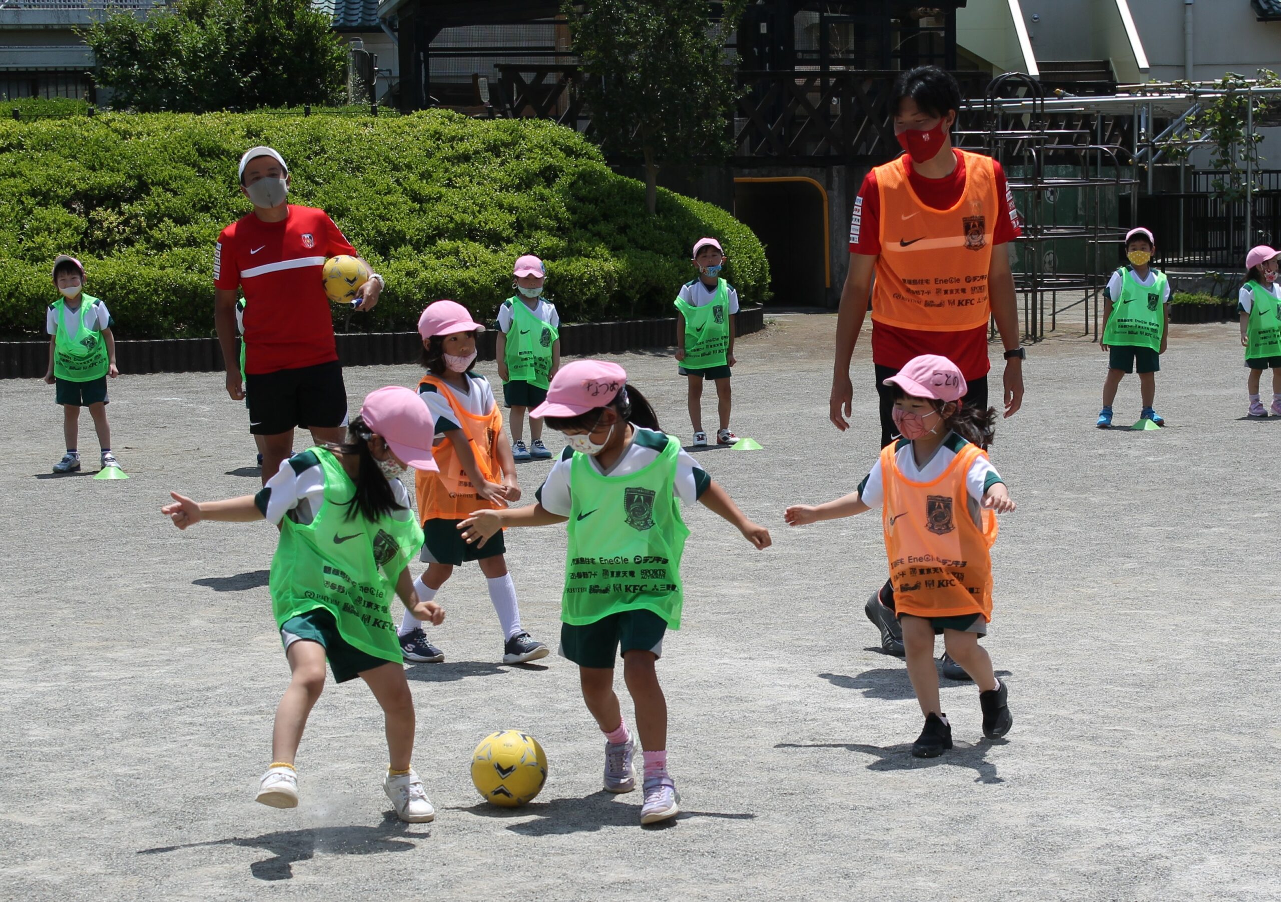 保護中: 川口しらぎく幼稚園の６月の様子