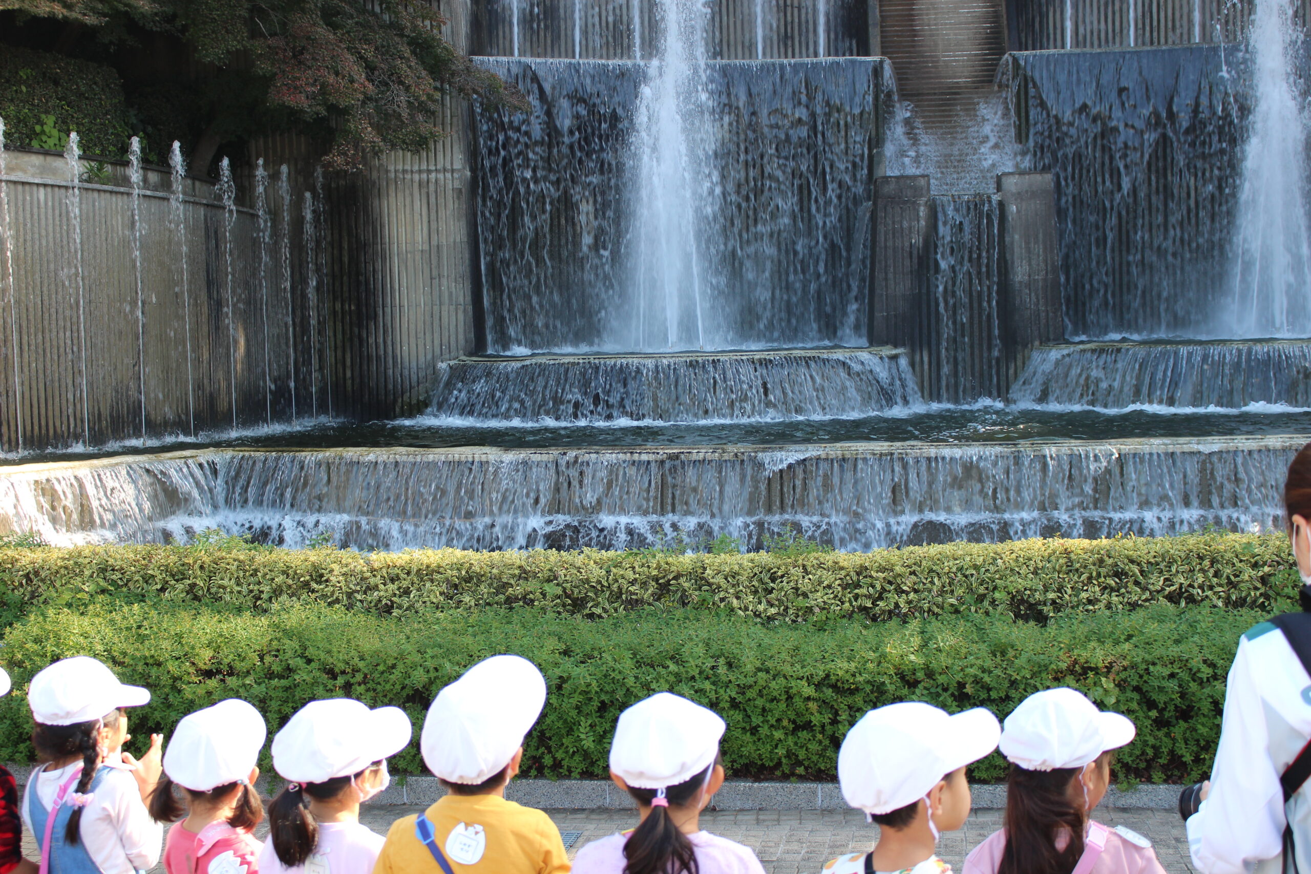 保護中: 戸塚しらぎく保育園１１月の様子