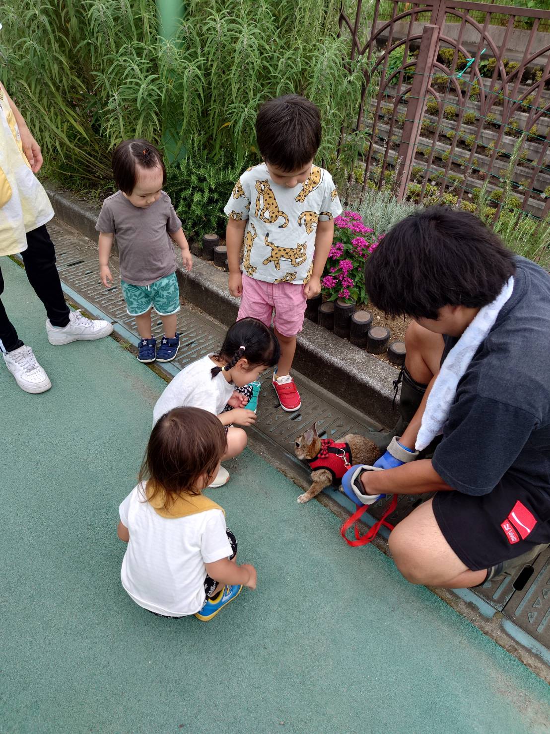 保護中: 戸塚しらぎく保育園8月の様子