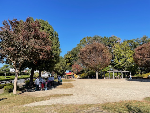 保護中: 西上尾しらぎく幼稚園11月の様子