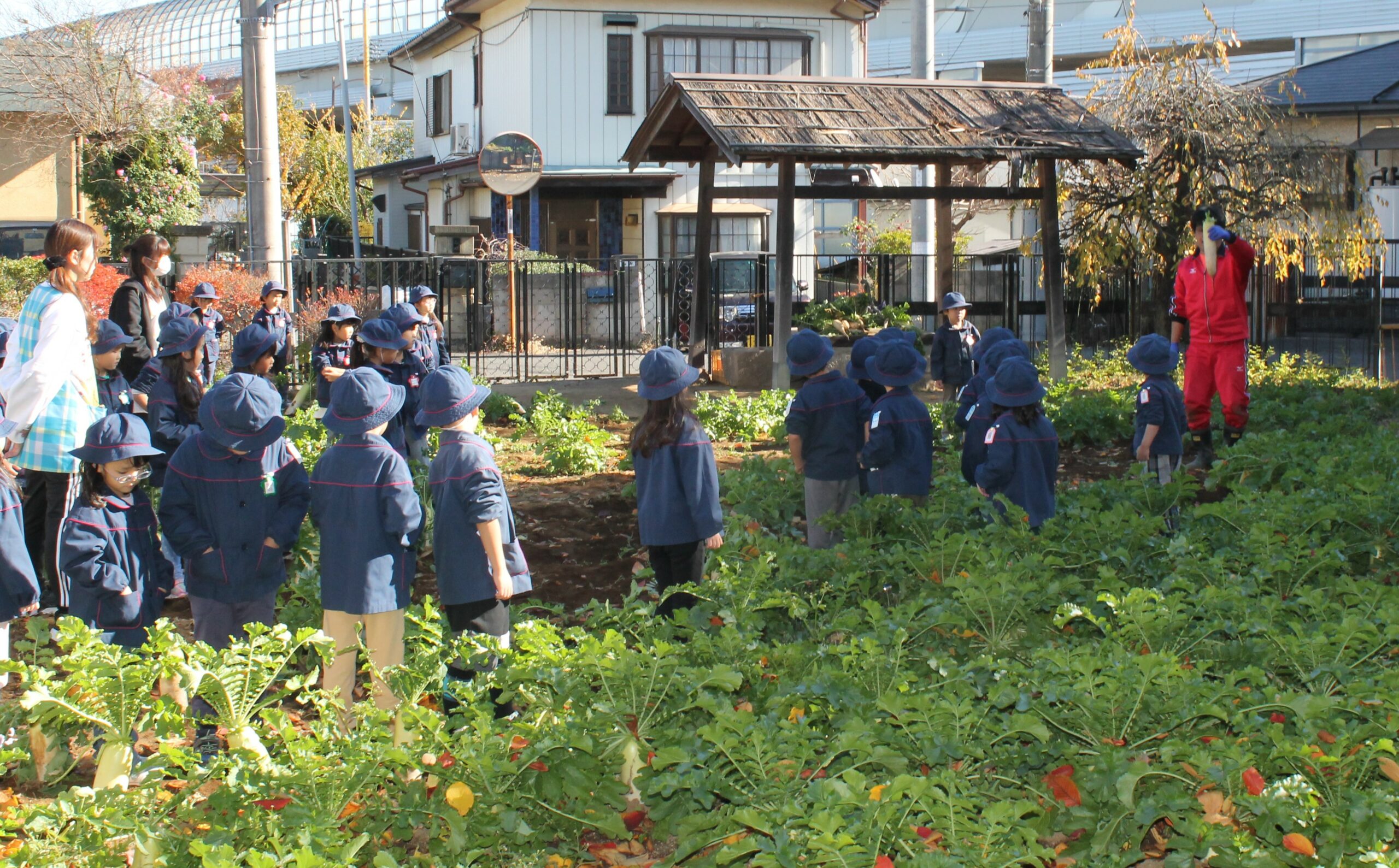 保護中: 川口しらぎく幼稚園１２月の様子