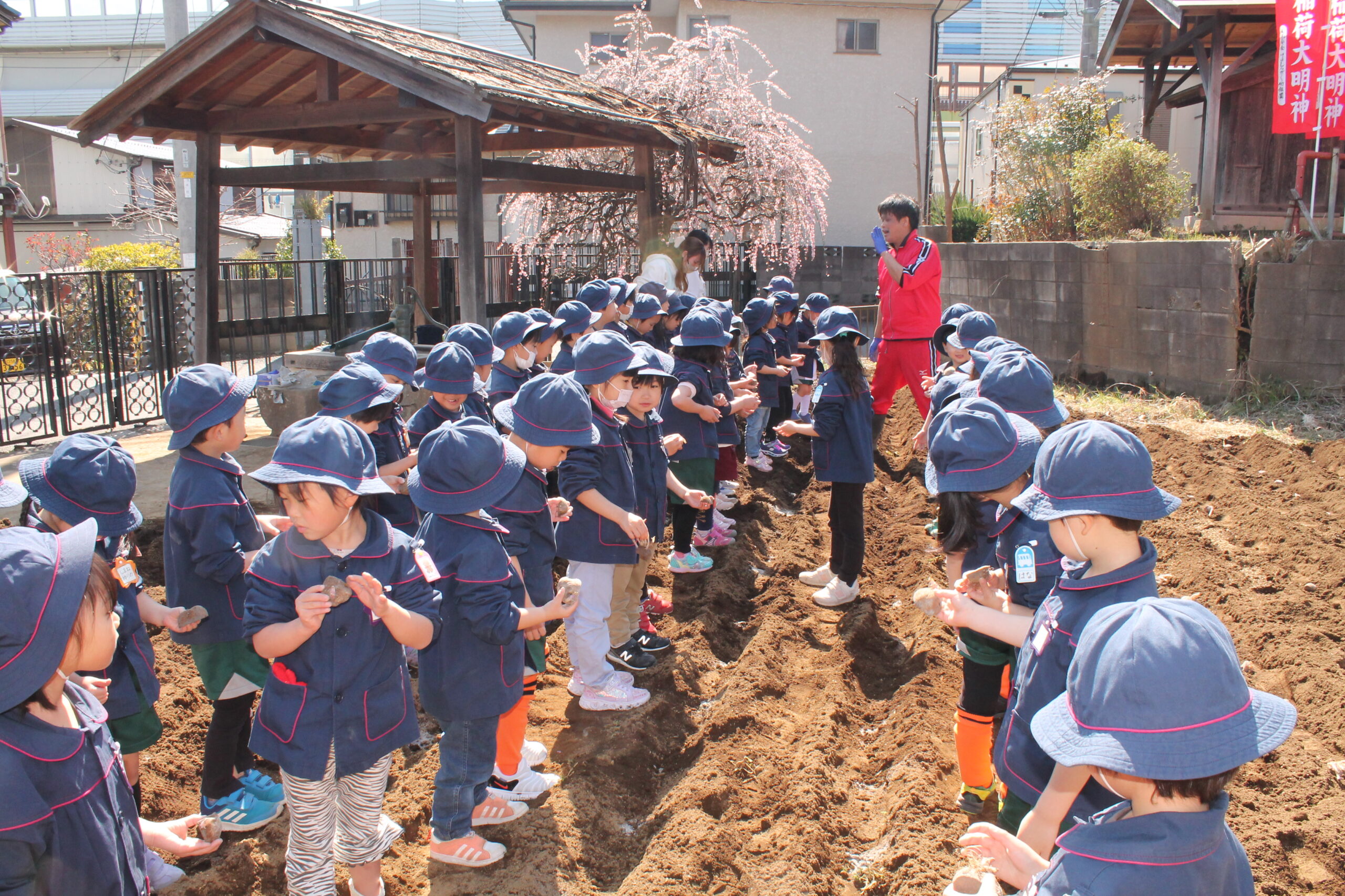 保護中: 川口しらぎく幼稚園３月の様子