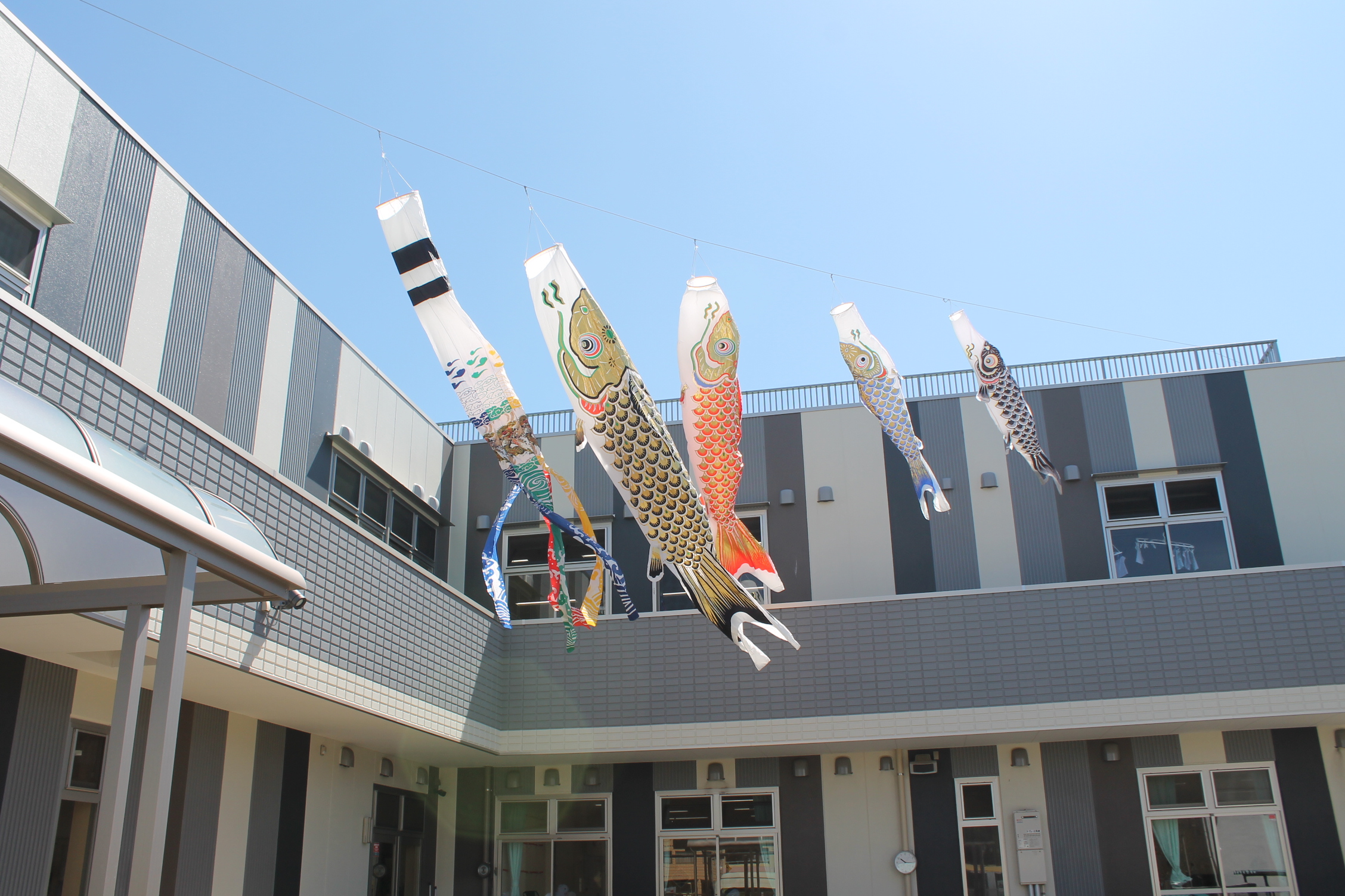 保護中: 西上尾しらぎく幼稚園の５月の様子