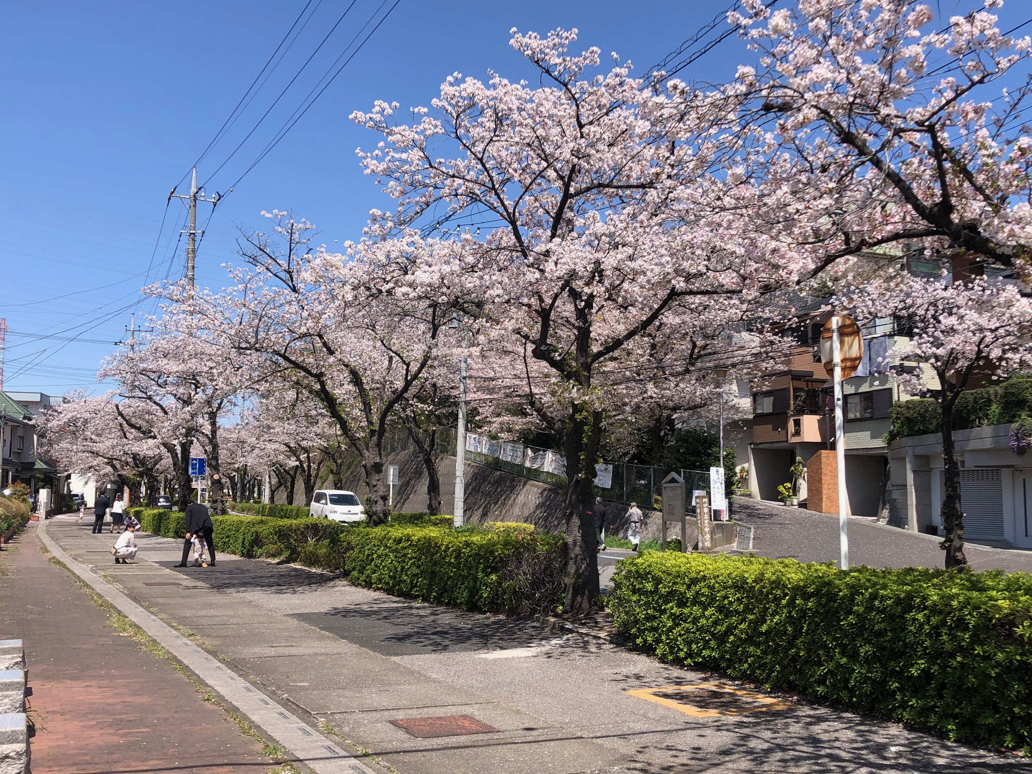 保護中: 川口しらぎく幼稚園４月の様子