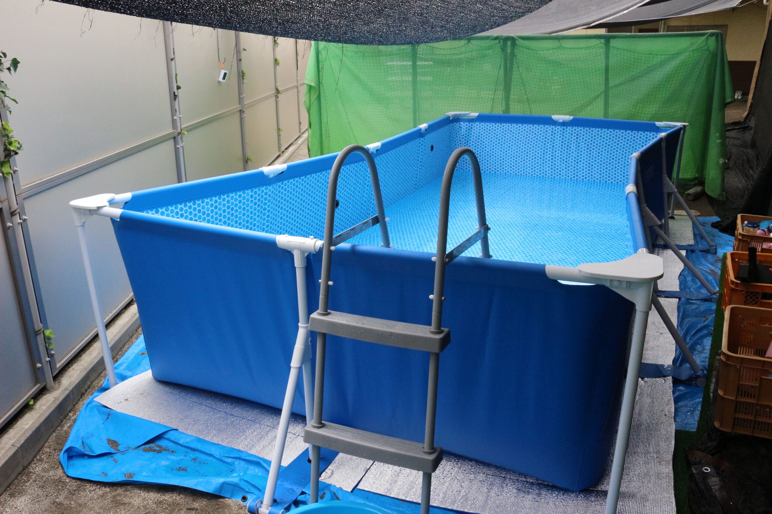 保護中: 並木東保育園7月の様子