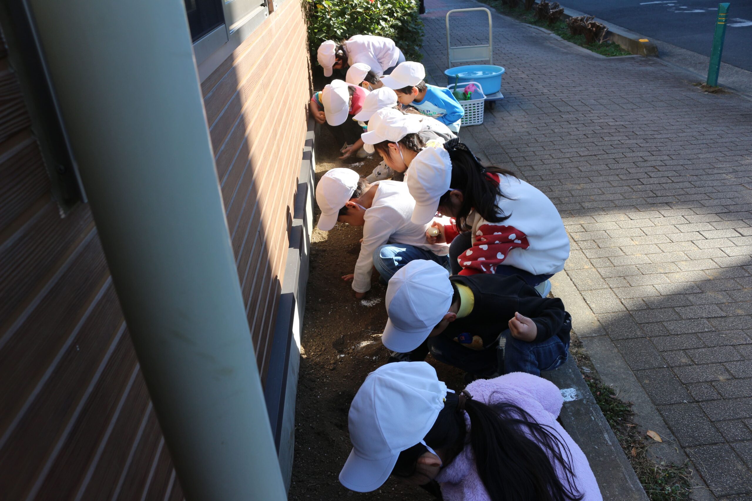 保護中: 並木東保育園12月の様子