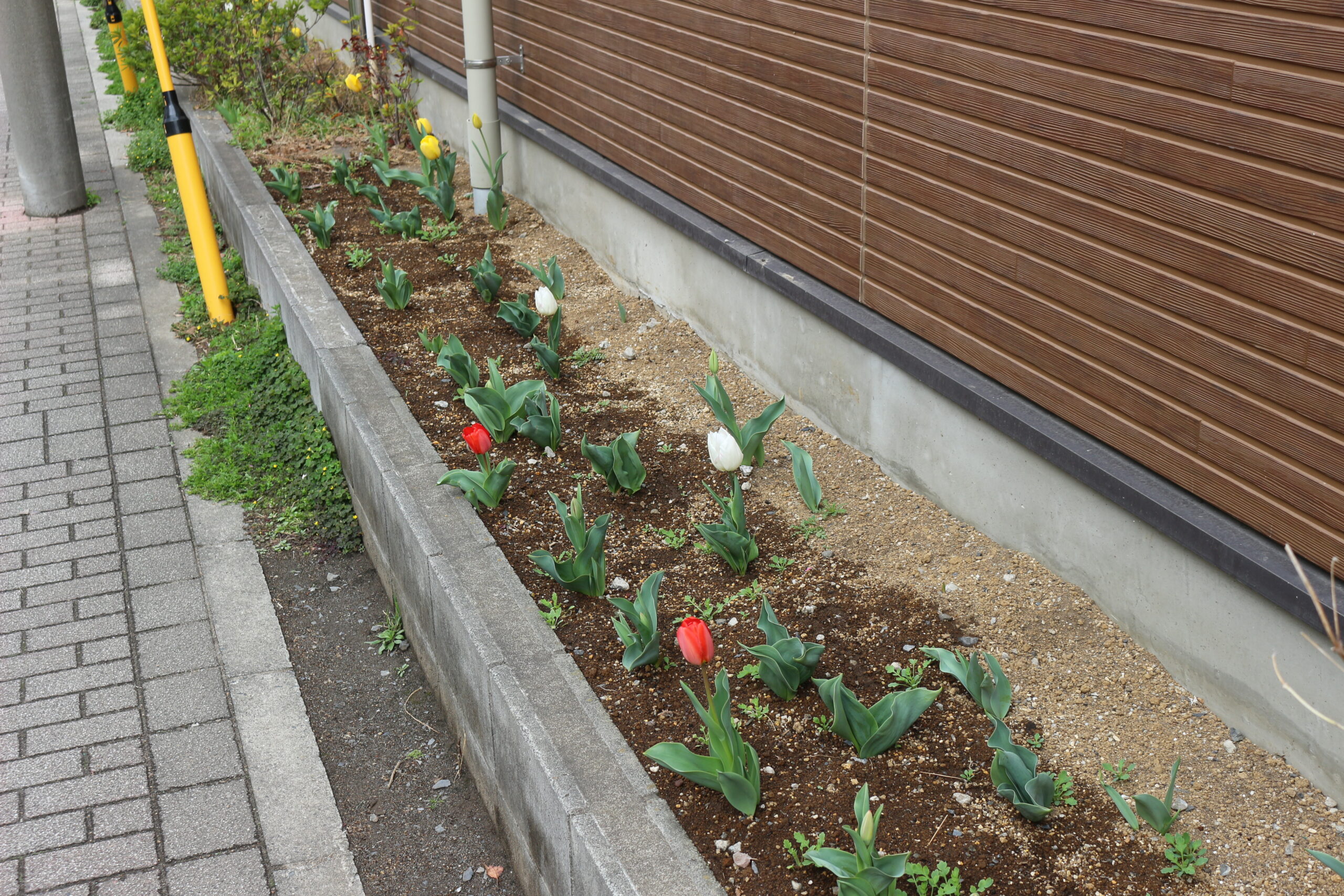 保護中: 並木東保育園3月の様子