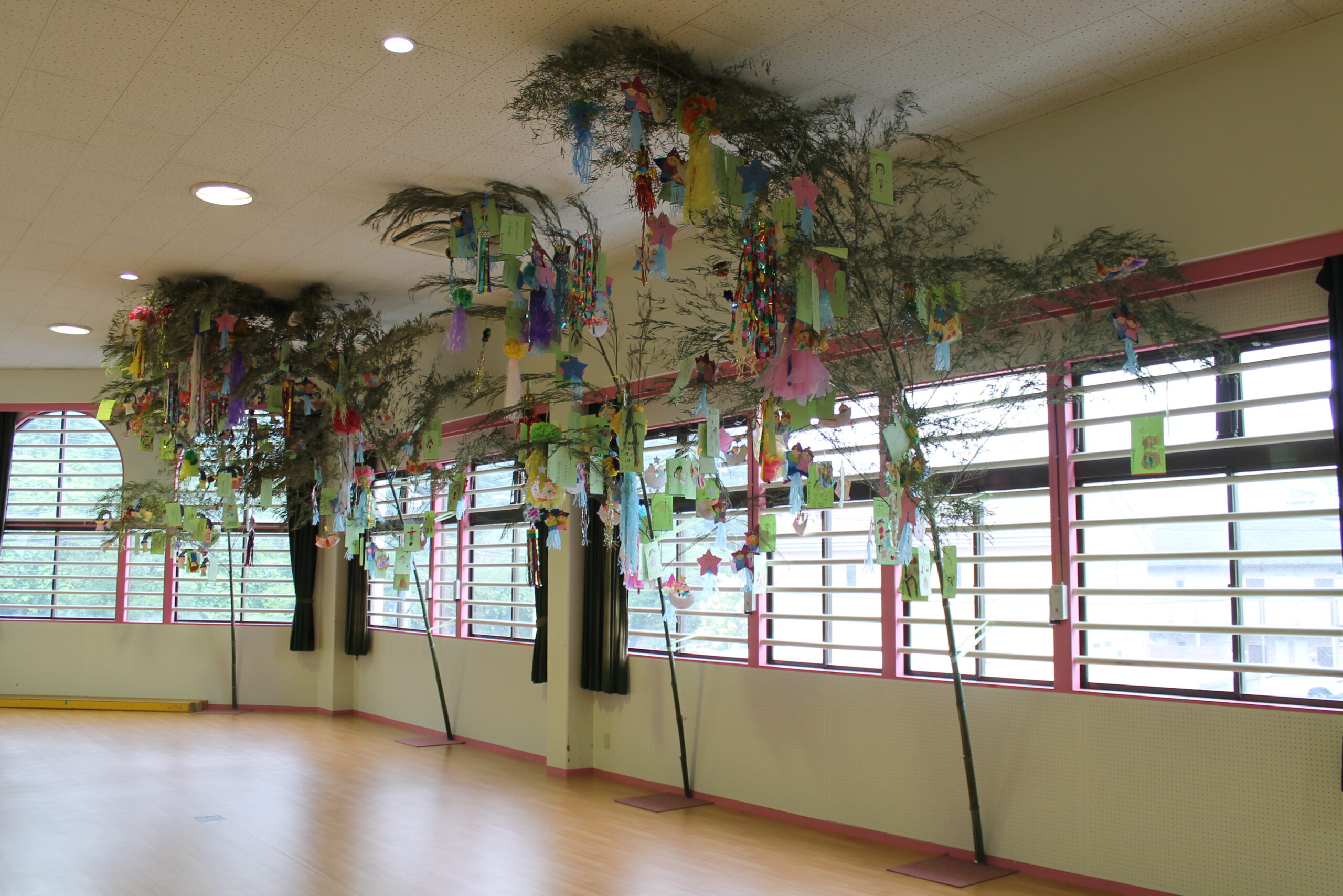 保護中: 川口しらぎく幼稚園５月６月の様子