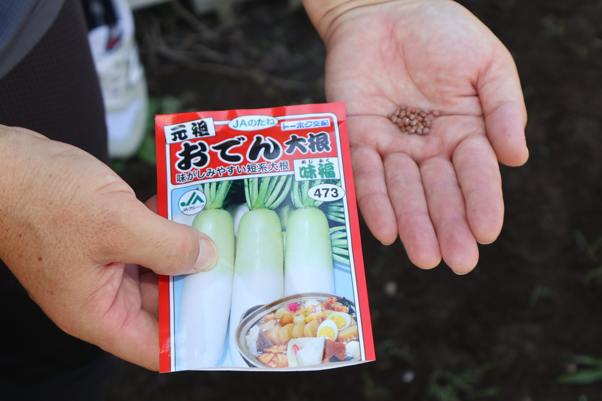 保護中: 西上尾しらぎく幼稚園の９月の様子